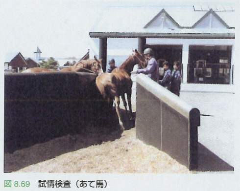種馬の人生