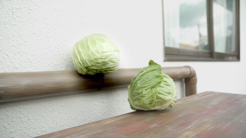 キャベバンバン 日清食品 猫バンバン U.F.O