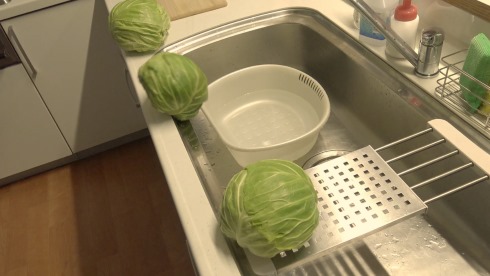 キャベバンバン 日清食品 猫バンバン U.F.O