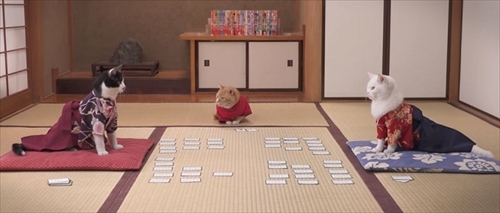 ちはにゃふる