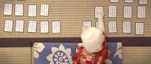 ちはにゃふる