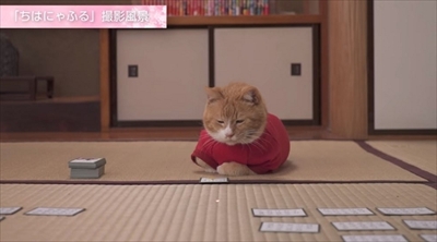 ちはにゃふる