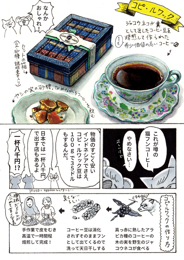 チョーヒカル ゲテモノ コピ・ルアク 猫 糞 コーヒー