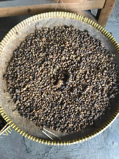 チョーヒカル ゲテモノ コピ・ルアク 猫 糞 コーヒー