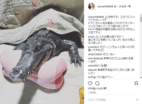 橋本マナミ ワニ 本物 所さん大変ですよ
