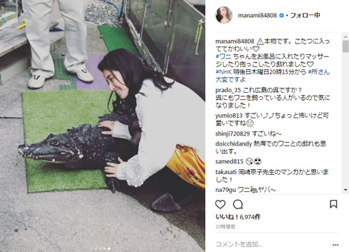 橋本マナミ ワニ 本物 所さん大変ですよ