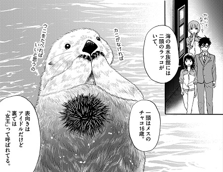 水族カンパニー！