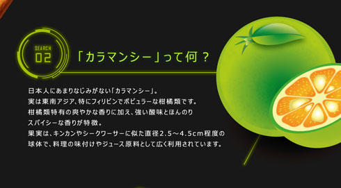 カラマンシー説明