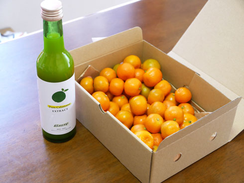 届いたカラマンシーの写真