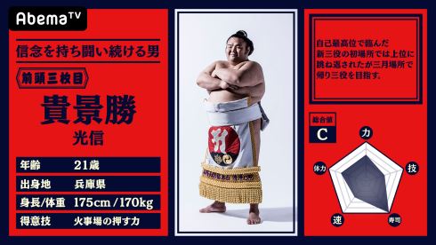abemaTV 大相撲 中継 NHK