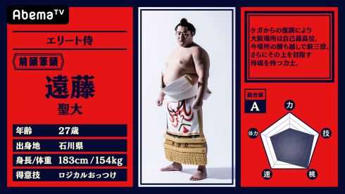 abemaTV 大相撲 中継 NHK