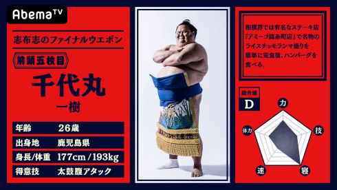 abemaTV 大相撲 中継 NHK