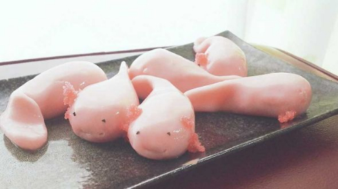 いちごミルク ウーパールーパー 団子