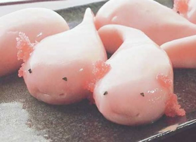 いちごミルク ウーパールーパー 団子