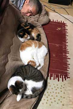 猫の形 長楽寺 御守り 住職さん