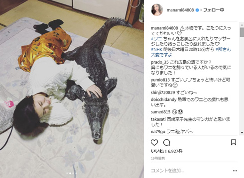 橋本マナミ ワニ 添い寝