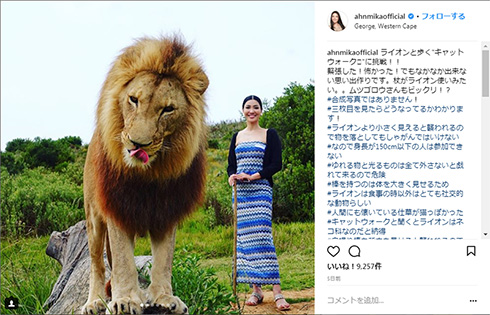 アンミカ ライオン