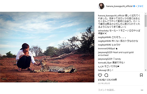 川口春奈 チーター アフリカ 