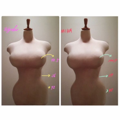 叶姉妹 スリーサイズ バスト トルソー