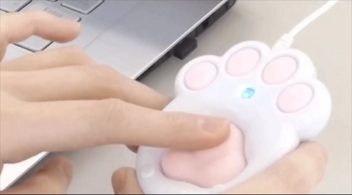 プニティマウス