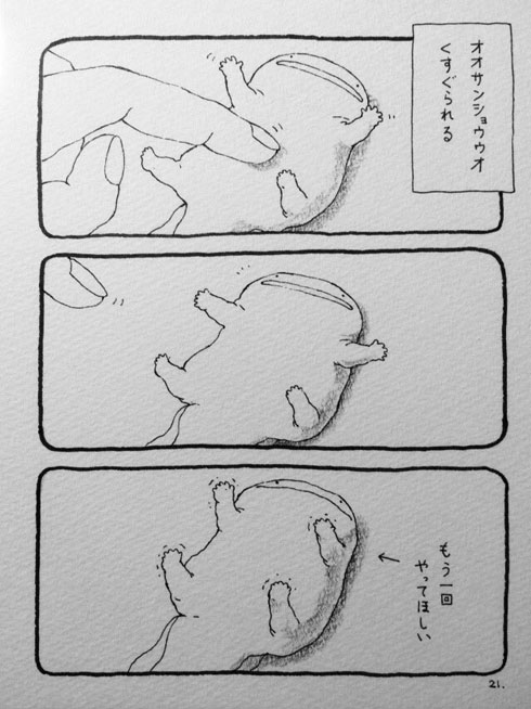 オオサンショウウオ漫画