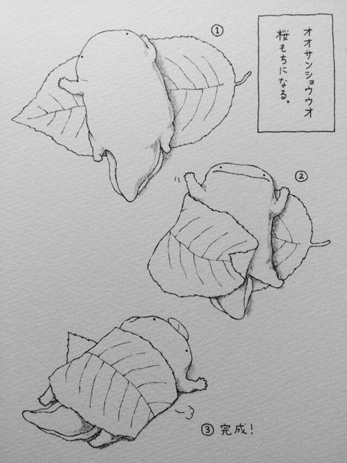 オオサンショウウオ漫画