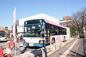 リカちゃんラッピングバス ピンクバージョン（京成バス 新小53系統を運行）