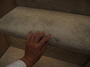 Sunseeker Manhattan 52