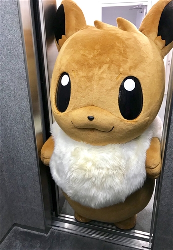 イーブイがキングジムにやってきたよ！　横幅大きすぎて社長室に挟まっちゃう