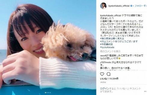 深田恭子 メロンパンナ 犬 ペット 隣の家族は青く見える