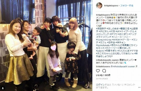 深田恭子 メロンパンナ 犬 ペット ほしのあき