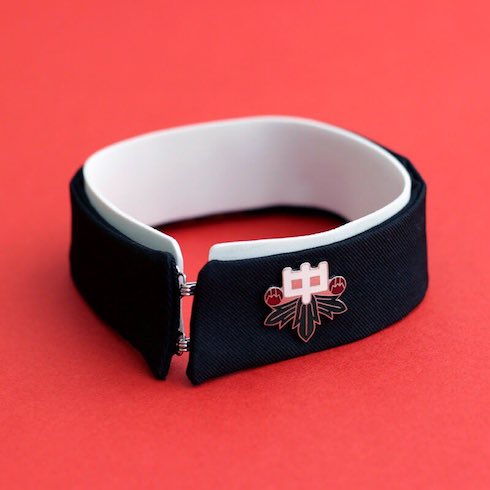 学ラン風の首輪