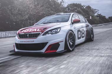 308 Racing Cup