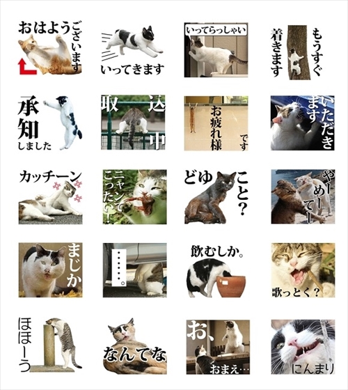 必死すぎるネコ スタンプ