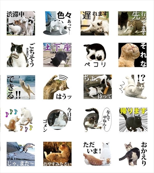 必死すぎるネコ スタンプ