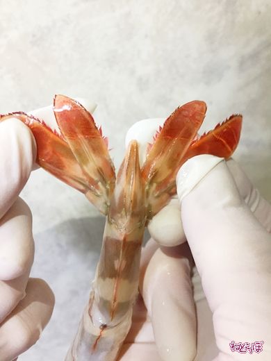 エビフライ えび 海老