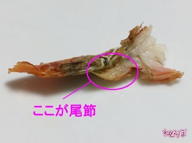 エビフライ えび 海老