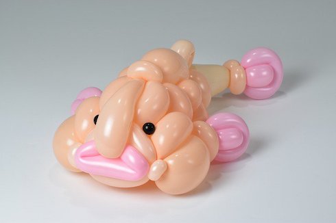 ニュウドウカジカ