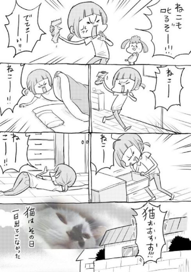 犬と猫どっちも