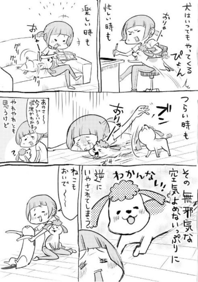 犬と猫どっちも