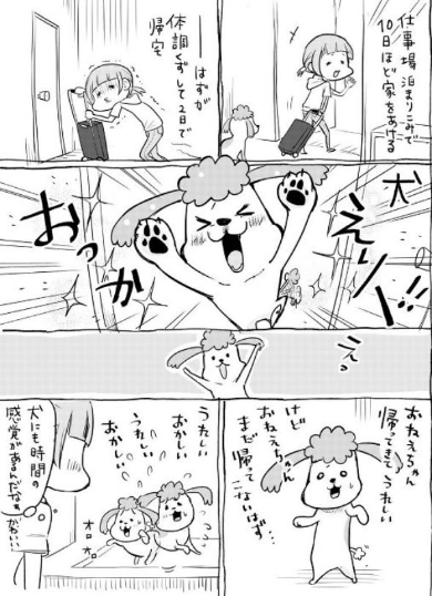 犬と猫どっちも