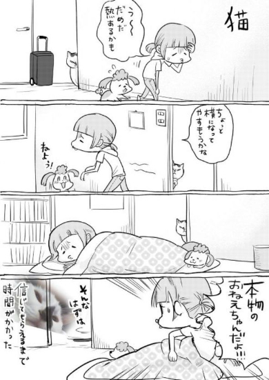 犬と猫どっちも