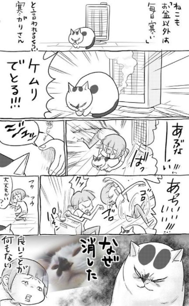 犬と猫どっちも