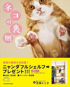 ネコの裏側パネル展