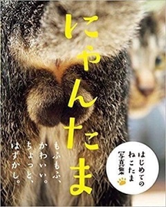 ネコの裏側パネル展