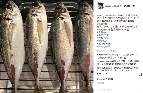 RIKACO　哀川翔　お隣さん　釣り　おすそ分け　アジ　鯵