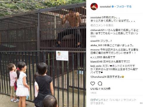 武井壮 動物園 トレーニング 筋トレ
