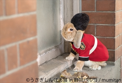 うさぎしんぼる展