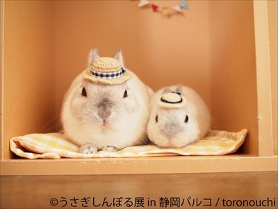 うさぎしんぼる展