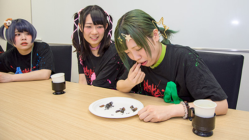 かみつき！MAD-DOG カブトムシ 地下アイドル